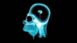 xray of homer simpson's brain